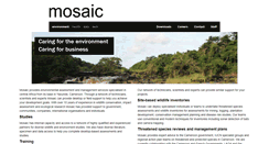 Desktop Screenshot of mosaic.cm